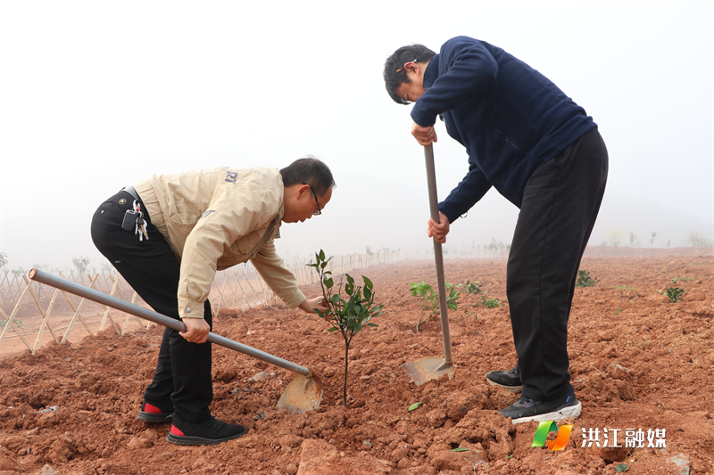 种树植绿 催生美丽经济1.png