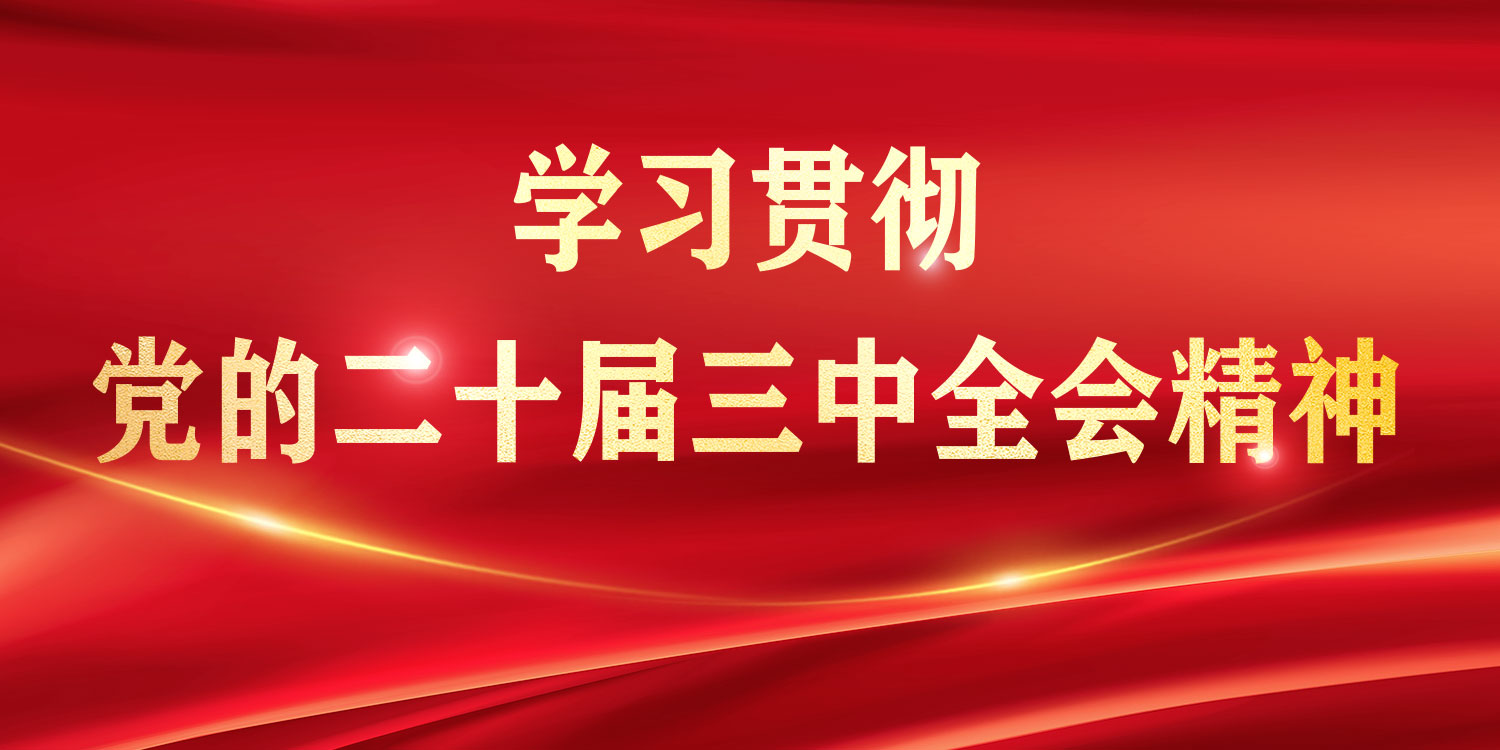 专题丨学习贯彻党的二十届三中全会精神